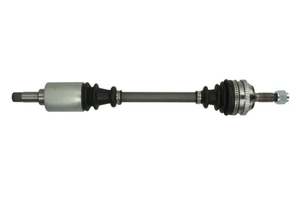 G2C029PC Pascal