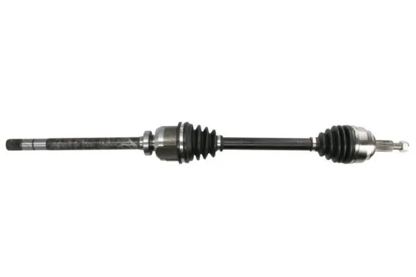 G2R096PC Pascal