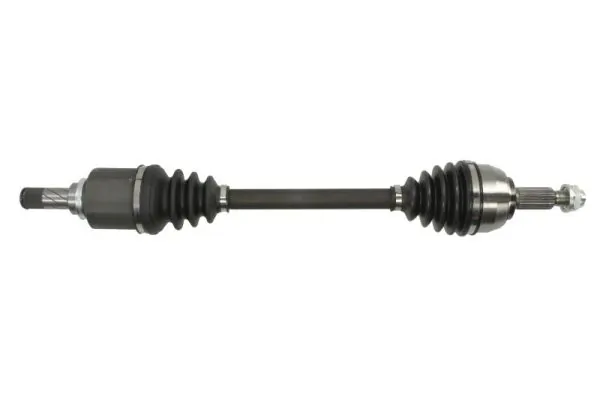 G2E025PC Pascal