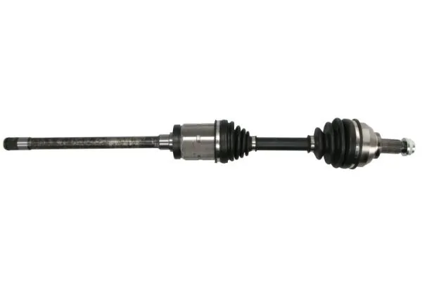 G2B015PC Pascal