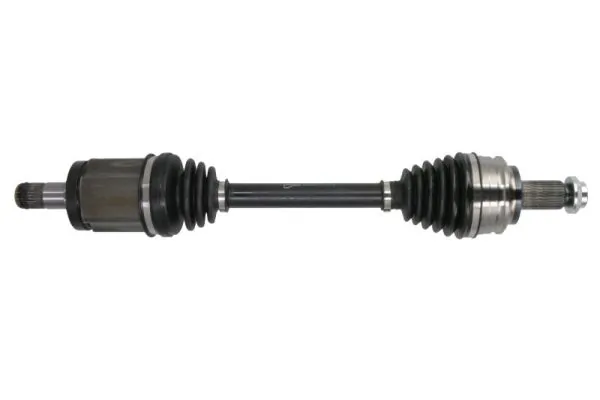 G2B005PC Pascal
