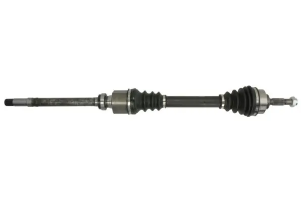 G2P002PC Pascal