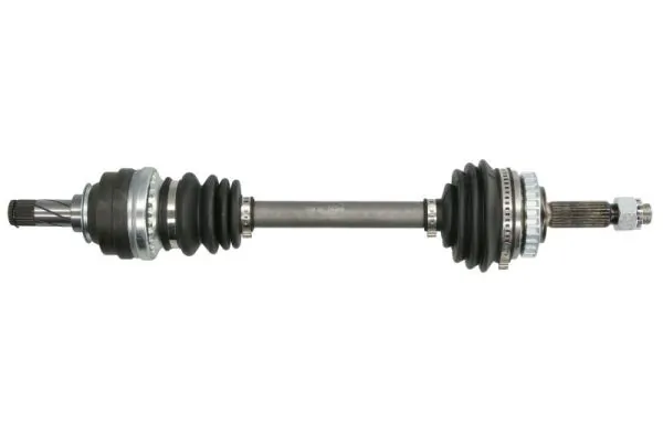 G2X006PC Pascal