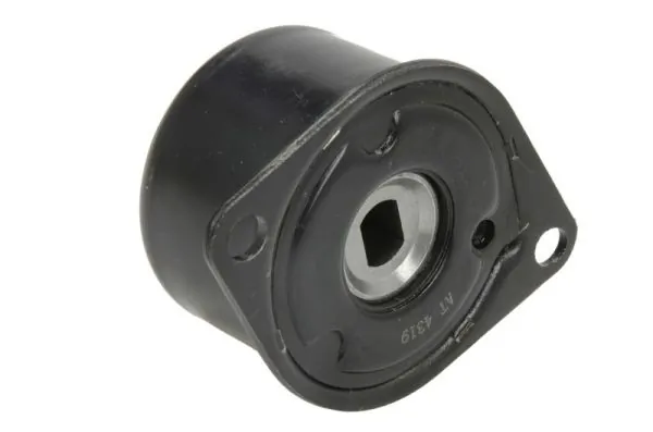 E3W0007BTA BTA Tensor de correa de alternador