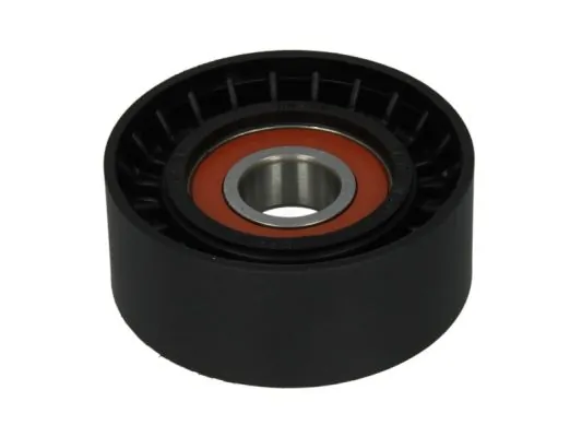 Rodillo tensor para Citroen C5  (RW)