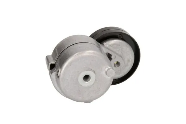 Polea tensora para Iveco Stralis I 
