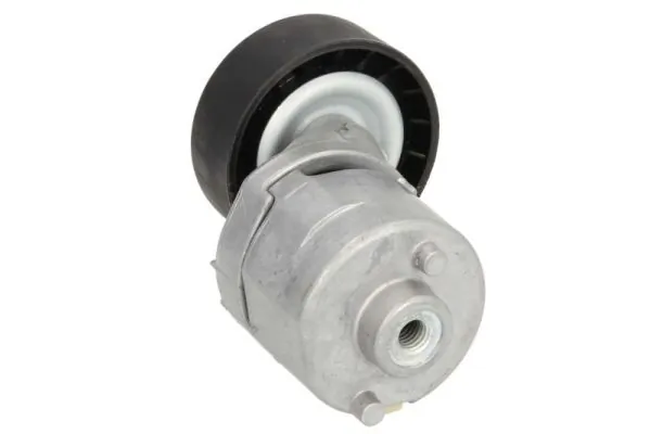  Tensor de correa poli V Ford Fiesta 