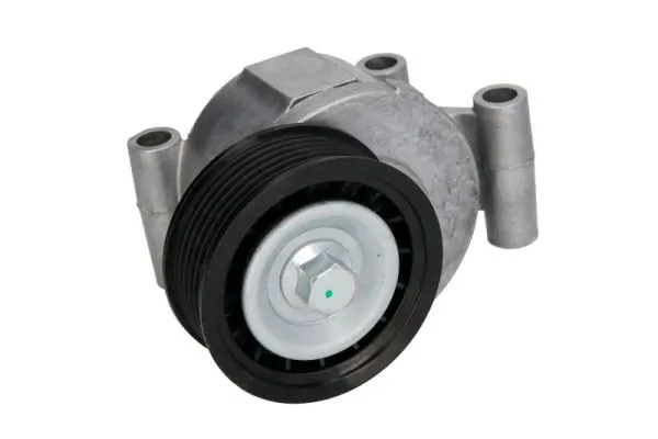 Tensor de la correa trapecial poli v Ford Focus II descapotable comprar en España
