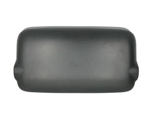 MANMR029 Pacol Espejo retrovisor izquierdo