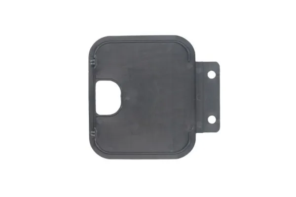 Comprar 81615100823 MAN Estribo izquierdo