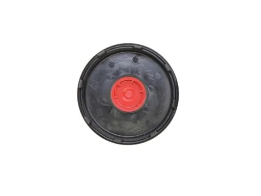 Tapa de cubo de rueda SAF 4304009300 precio, desde 10,55 EUR