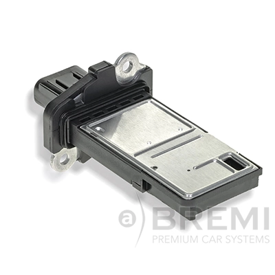 30397 Bremi