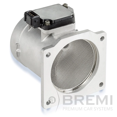 30064 Bremi