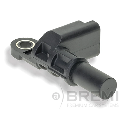 60487 Bremi