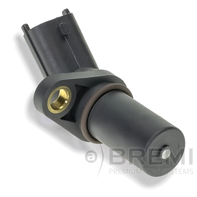 60493 Bremi