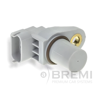 60481 Bremi