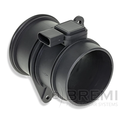 30387 Bremi