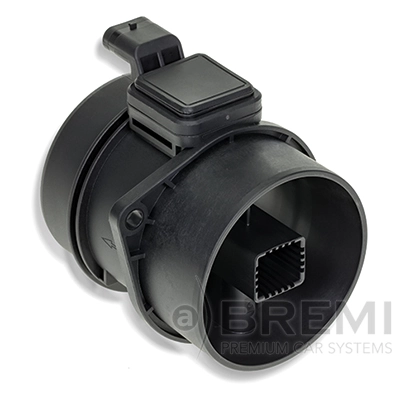 30396 Bremi