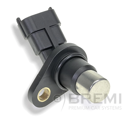 60539 Bremi