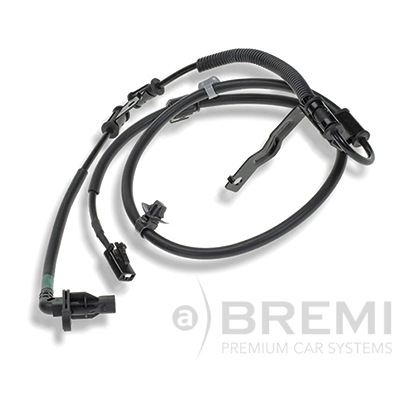 51232 Bremi