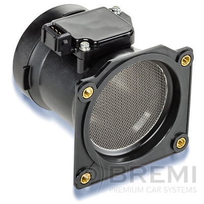 30096 Bremi