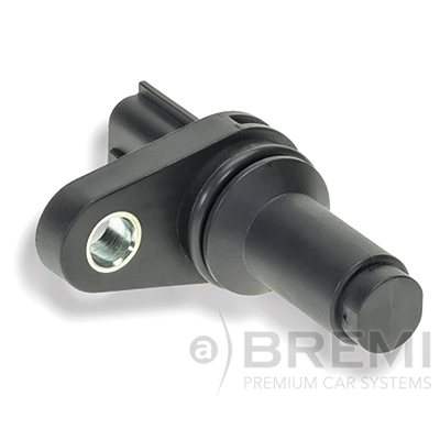 60461 Bremi