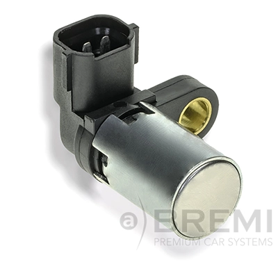 60017 Bremi