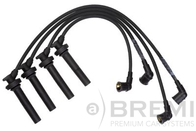 300711 Bremi
