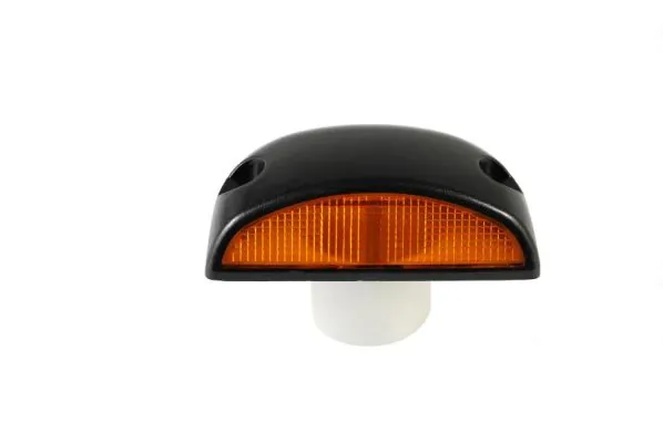 Comprar 7421103284 Renault (RVI) Luz intermitente