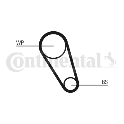 CT1143 Continental/Siemens Correa poly v