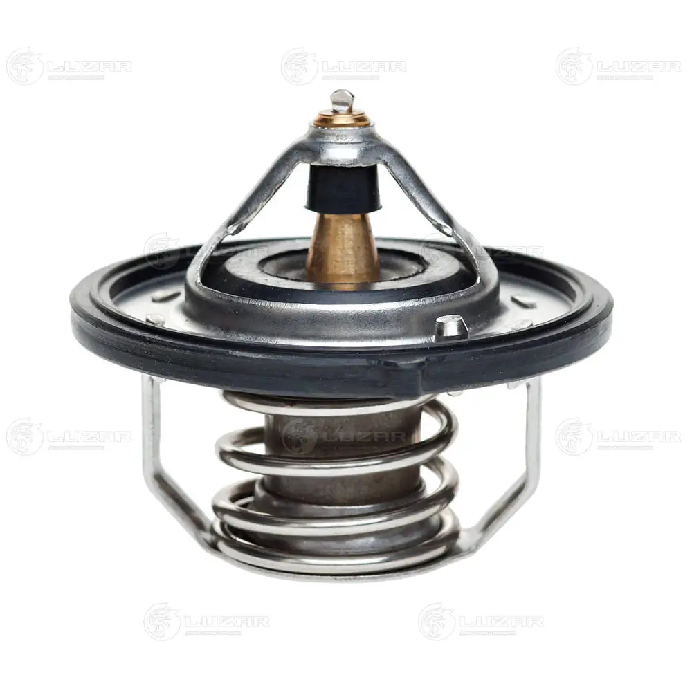 Termostato refrigerante para Nissan Qashqai II (J11)