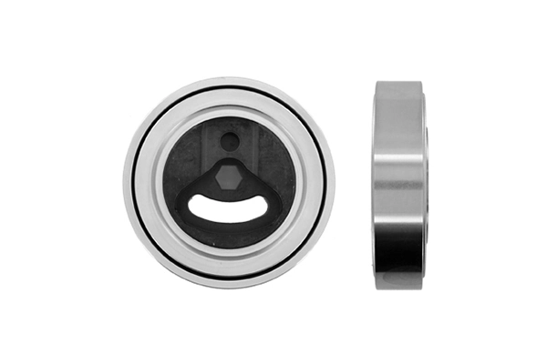 VKM66009 SKF Polea tensora
