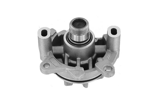 VKPC86305 SKF Bomba refrigerante coche
