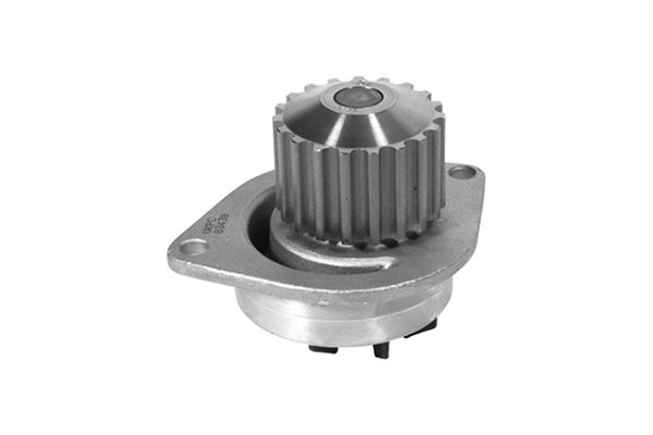 VKPC83430 SKF Bomba refrigerante coche