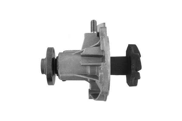 VKPC88200 SKF Bomba refrigerante coche