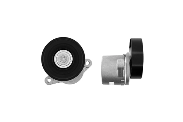 Tensor de la correa trapecial SKF VKM66005 precio, desde 57,90 EUR