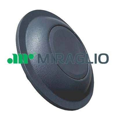 60423 Miraglio
