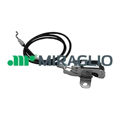 37250 Miraglio