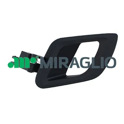 60341 Miraglio