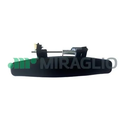 80866 Miraglio