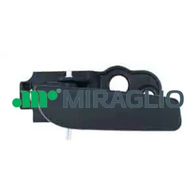 60398 Miraglio