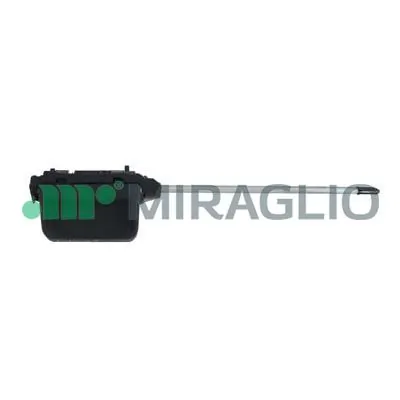 60305 Miraglio
