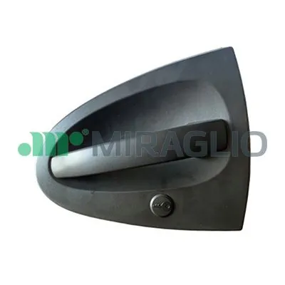 80875 Miraglio