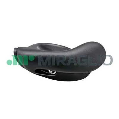 60146 Miraglio
