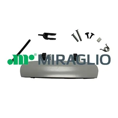 80750 Miraglio