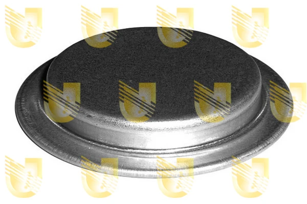 Tapon de bloque del motor Fiat Tipo  (160)