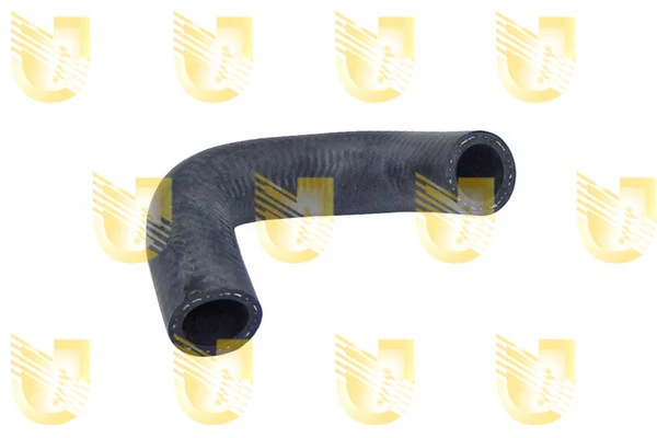 P2078 Unigom