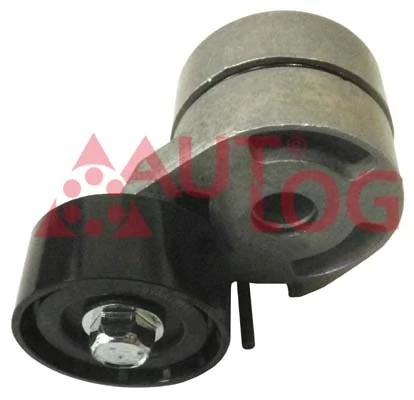  Tensor de correa poli V Ford Fiesta 