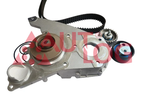 Comprar 1624232180 Peugeot/Citroen Kit de correa de distribución