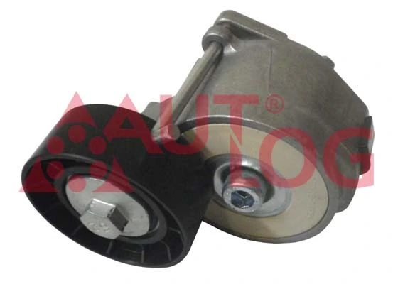 Tensor de la correa trapecial Fiat Stilo hatchback (192) (2001 - 2006) precio, desde 25,85 EUR